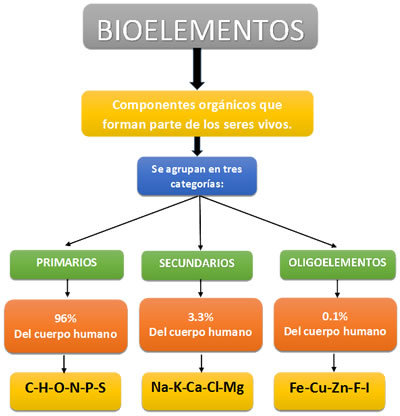 Bioelementos